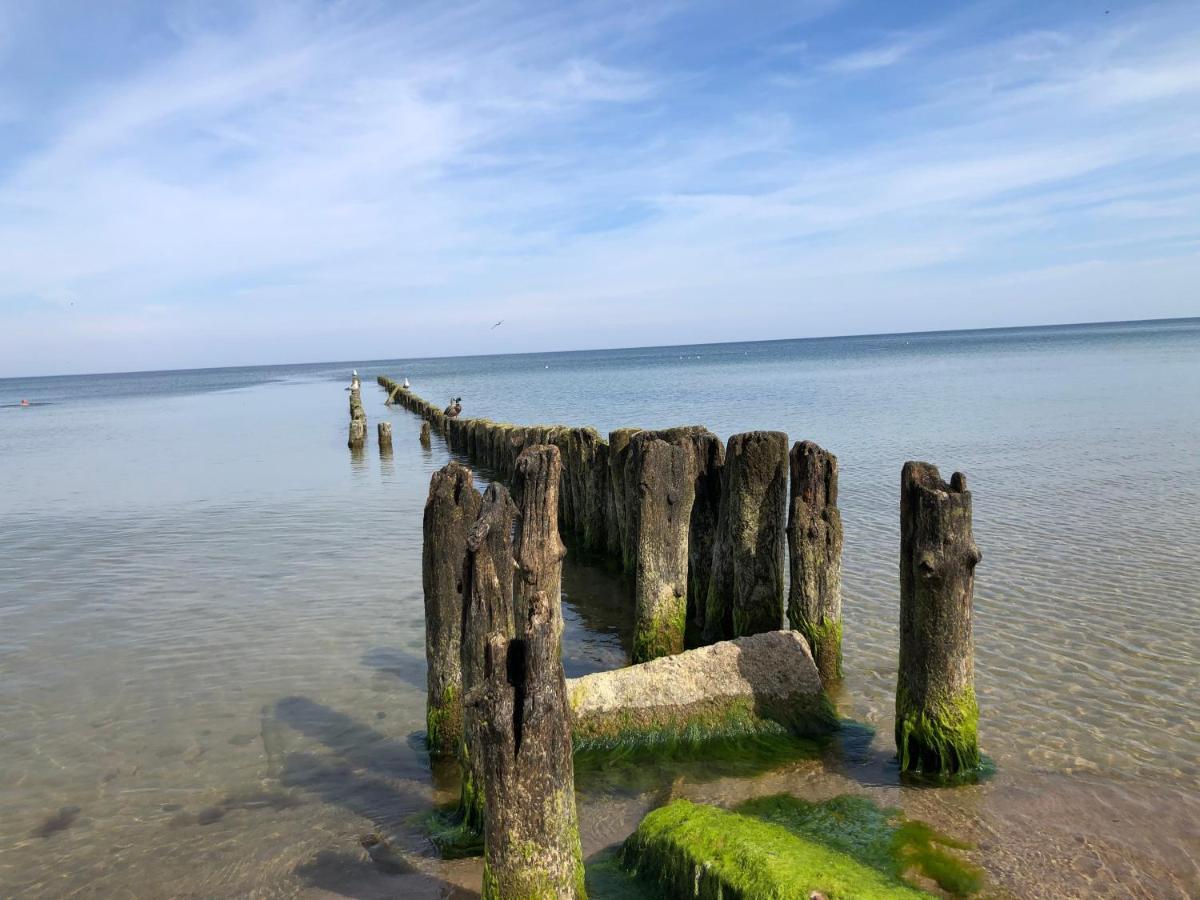 Villa La Petite France Parnowo Esterno foto